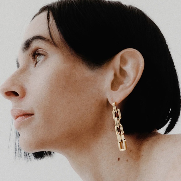 022 Eddie Borgo Supra Link Chain Earrings NEW - Picture 2 of 2